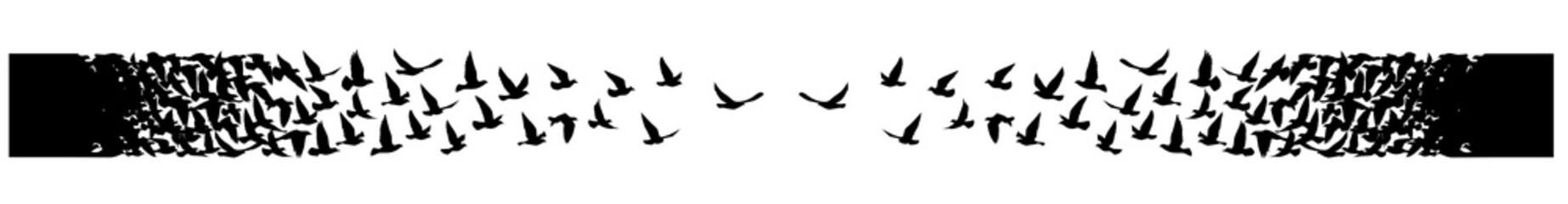 Flying birds silhouettes pattern wallpaper. PNG transparent. isolated bird flying. tattoo design. template for card, package, and wallpaper.