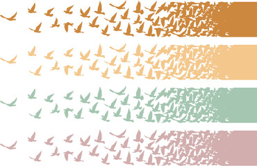 Flying birds silhouettes pattern wallpaper. PNG transparent. isolated bird flying. tattoo design. template for card, package, and wallpaper.