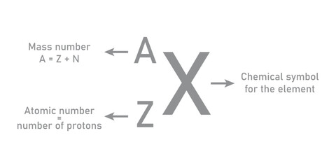 Representation of an atom. Atoms and elements. Symbol of element, mass number (protons and neutrons), atomic number (protons). Symbolic representation of an element. Vector illustration.
