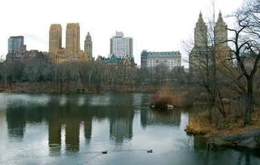 Fototapeta na wymiar A portion of the New York City skyline as seen from Central Park