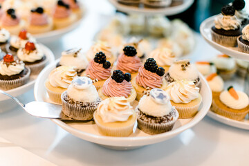 Cupcakes und Muffins auf Teller bei Party oder Feier	