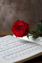 Red single rose on open musical notebook with music notes. Background of music notes sheet. Copy space, soft focus