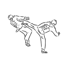 illustration of Taekwondo. Hand drawn. taekwondo vector