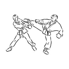 illustration of Taekwondo. Hand drawn. taekwondo vector