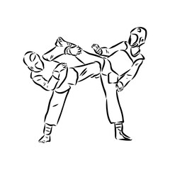 illustration of Taekwondo. Hand drawn. taekwondo vector