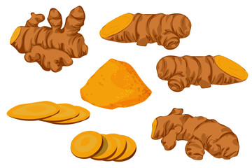 vector of turmerics,slice and turmeric powder in flat style isolated in white background.