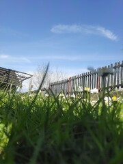 wooden bridge in the park