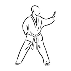 Fototapeta na wymiar illustration of Taekwondo. Hand drawn. taekwondo vector