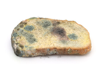 Piece of moldy bread.