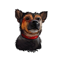 Ratonero Murciano de Huerta dog portrait isolated on white. Digital art illustration of hand drawn dog for web, t-shirt print and puppy food cover design. Murcian Ratter or Huerta Ratter.