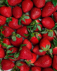 freshly picked organic strawberries background