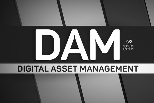 DAM Digital Asset Management System.DAM System Digital asset management and implementation of its use. 3D render.