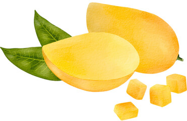 mango watercolor
