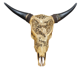 Indonesia - Buffalo skull carved / transparent background