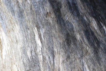 natural grey driftwood background with blank space