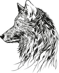 Wolf's head. Drawing in black ink - 585413708