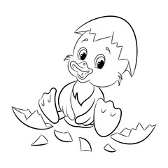 Duckling. Coloring book for children. Vector illustration.