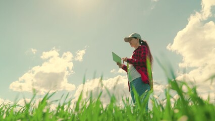 Environmentally seedlings, Farmer with computer tablet evaluates shoots, green wheat sprouts in field. Technology of modern agriculture, Farmer woman working on farm with digital tablet in agriculture