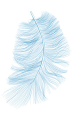 Big bird feather. Hand drawn illustration converted to vector. Outline with transparent background