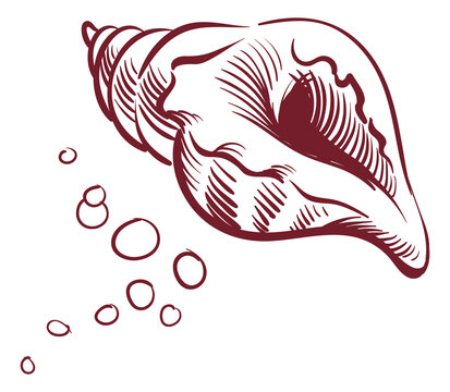 recommend clip art: Seashell sketch. Ink line style mollusk conch. Shellfish symbol