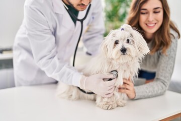 Man and woman veterinarian auscultating dog at veterinary clinic