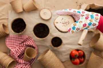 Planting tomato seeds for seedlings, hand with seeds, eco-friendly pots and seeds, ground and gardening tools on craft paper, preparation with spring gardening