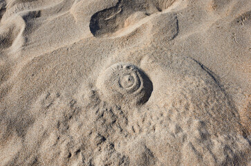 Fototapeta na wymiar There is a sand house on the beach. 