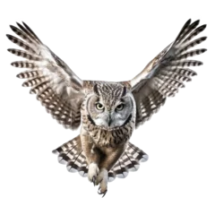 Zelfklevend Fotobehang owl flying isolated on white © Tidarat