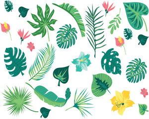 Leaves collection summer vector illustration
