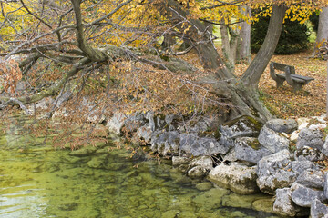 autumn view of lake and trees in Toscana Park, Gmunden