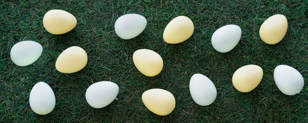 Easter color eggs on green grass. Pattern
