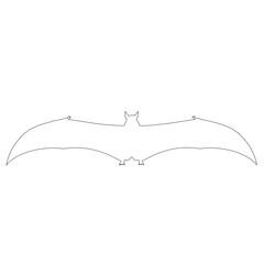 silhouette of a bat