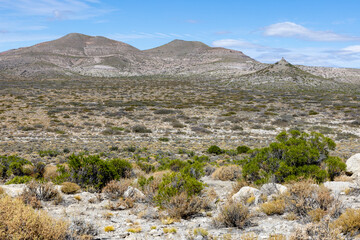 Landscape shot of the Argentinian Pampa in the Province Neuquén - Traveling South America