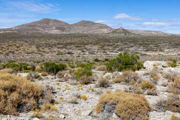Landscape shot of the Argentinian Pampa in the Province Neuquén - Traveling South America