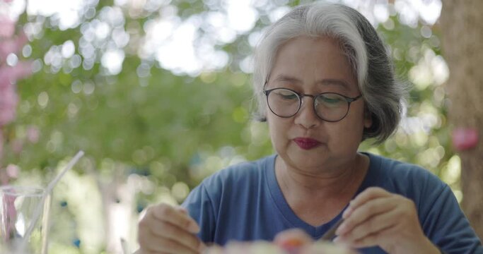 Asian white-haired elderly woman sitting eating vegetable salad in the garden outdoors. Dietary Health Care for Seniors. good life happy old people. health insurance