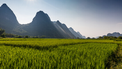 Amazing landscape of rice fields and limestone peaks near Yalong River, Yangshuo, China