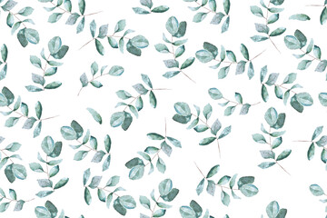 Seamless pattern of eucalyptus leaves drawn with watercolor on a white background.For the design of fabric patterns and natural style wallpapers.Tropical leaf pattern plant species.
