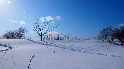 晴れた日の雪原２