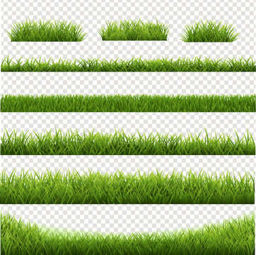 green grass