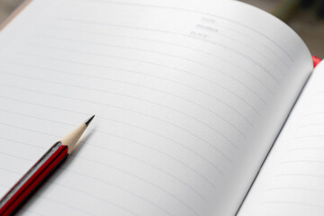 A wooden pencil placed on an opened book.