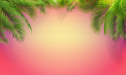 Fototapeta na wymiar Palm Tree Branch Border And Pink Background