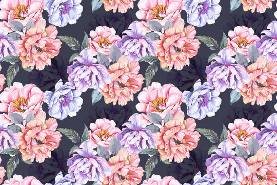 Peony seamless pattern with watercolor on purple background.Designed for fabric luxurious and wallpaper, vintage style.Hand drawn floral pattern illustration