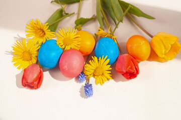 on a pink background lie painted multi-colored eggs and yellow flowers. red tulips