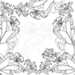 Pattern with lily flower and butterfly on an isolated background