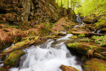 waterfall from the rock in woods. rapid water stream in springtime