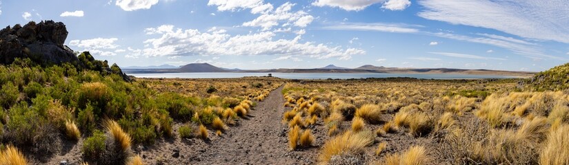 National Park Laguna Blanca in Neuquén, Argentina - Traveling South America - Panorama