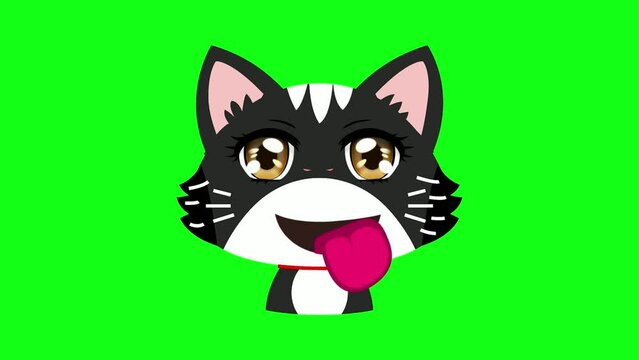Animated funny cat facial expressions, cat sticker, on green screen background.