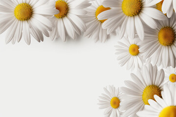 Beautiful Flower Daisy Background - Flowers Backdrops Series - Daisy Flower White Wallpaper created with Generative AI technology