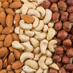 Variety of Mixed Nuts