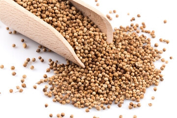 Coriander seeds in wooden scoop